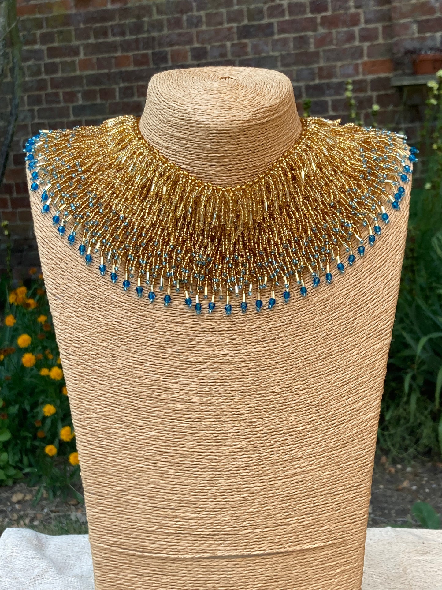 Blue tipped Gold regal collar