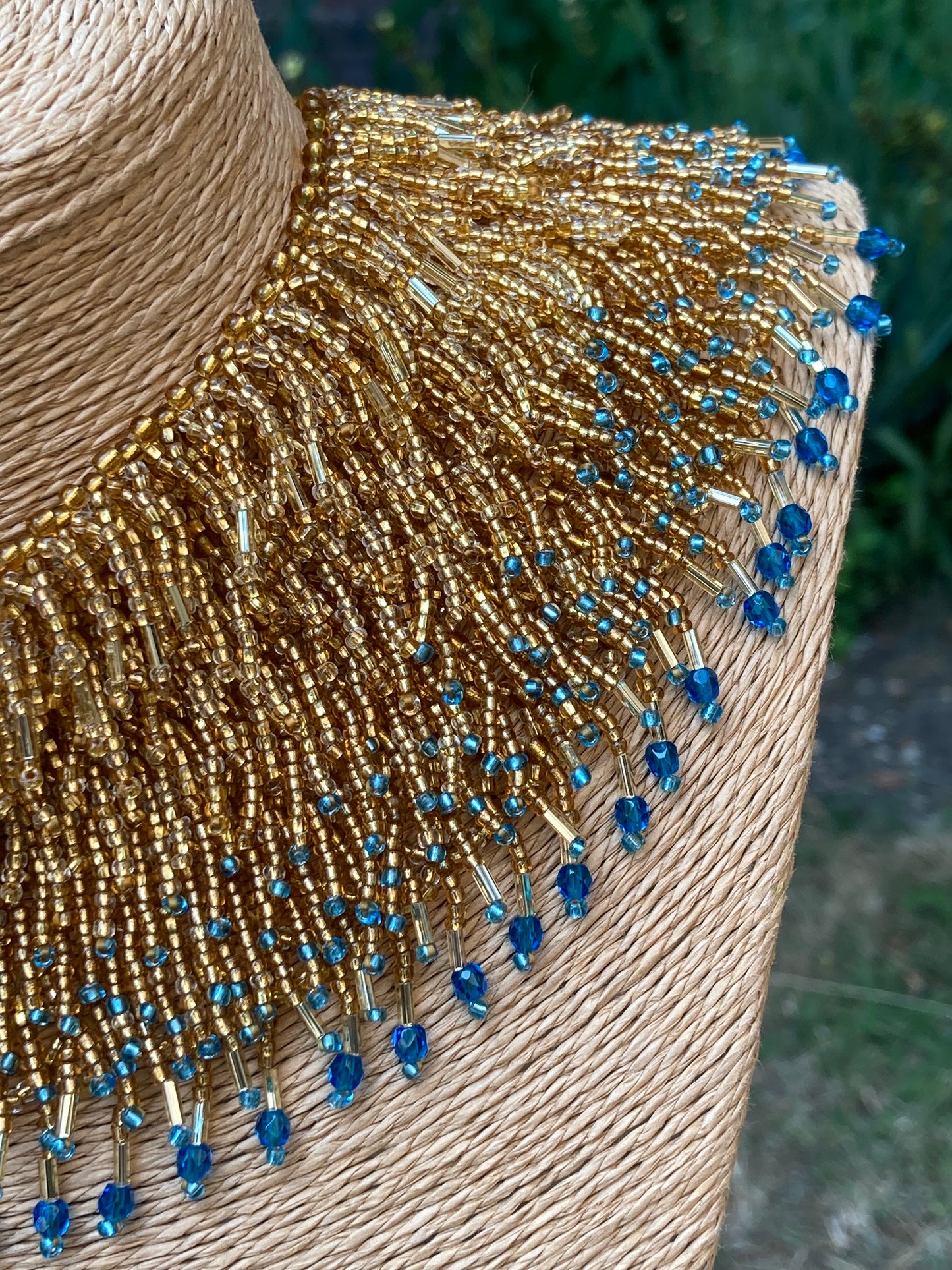 Blue tipped Gold regal collar